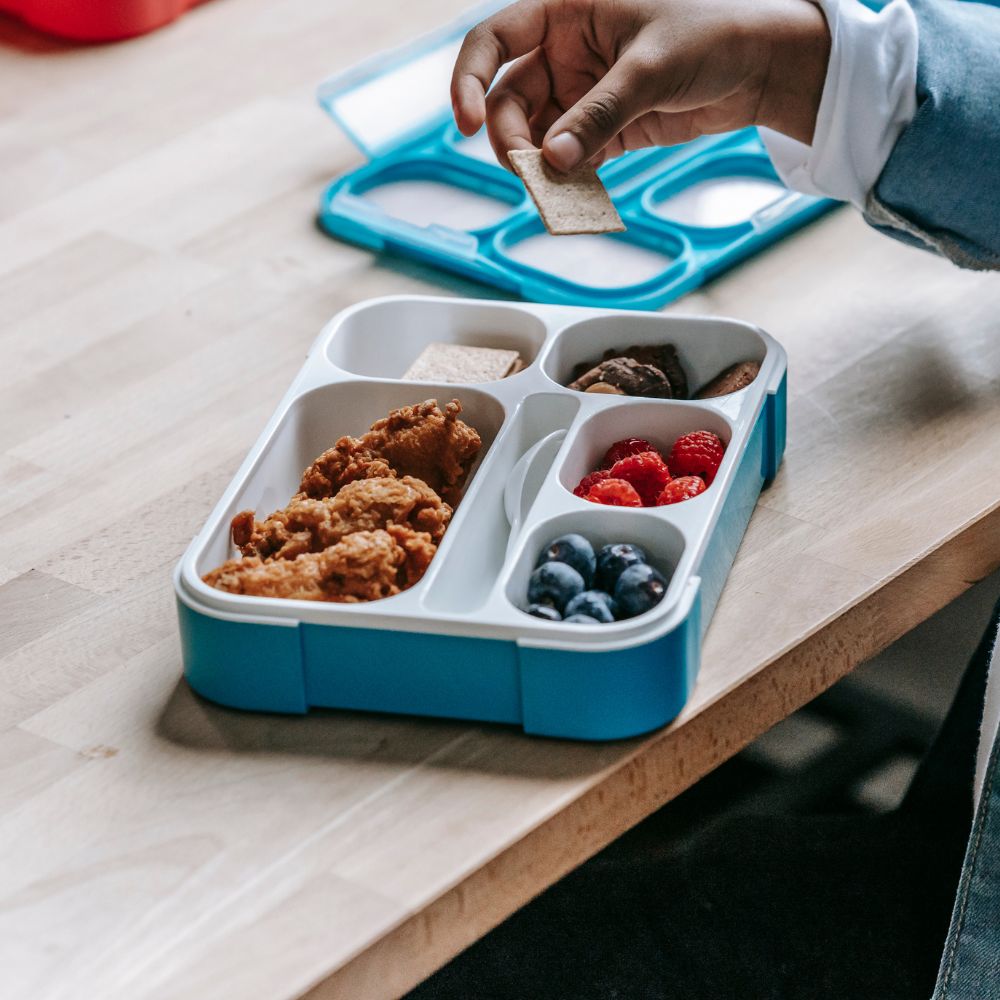 25 Easy School Lunch Ideas for Picky Eaters (5 Ingredients or Less!)